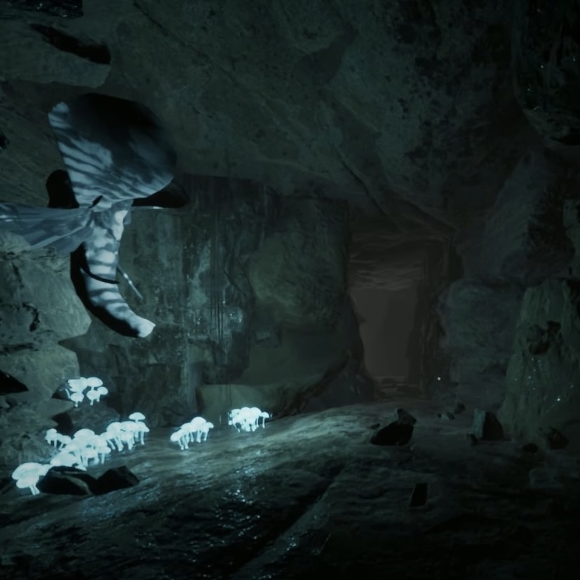 The Cave System